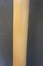 床柱　ゴールド　6寸（18ｃｍ） 永井銘木店 ストア OUTLET 04 床柱 丸太